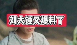 刘大锤爆料榜单最新图片