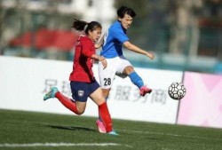 武汉足球最新爆料,揭秘新赛季备战与转会传闻