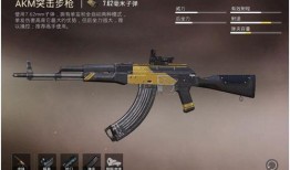 和平精英新枪械最新爆料,神秘性能引发热议，玩家期待新战力加入